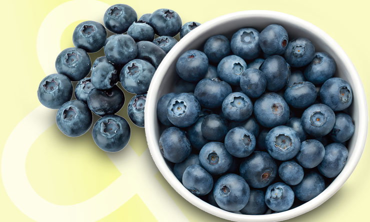 Ripe dark blue blueberries with natural frost coating