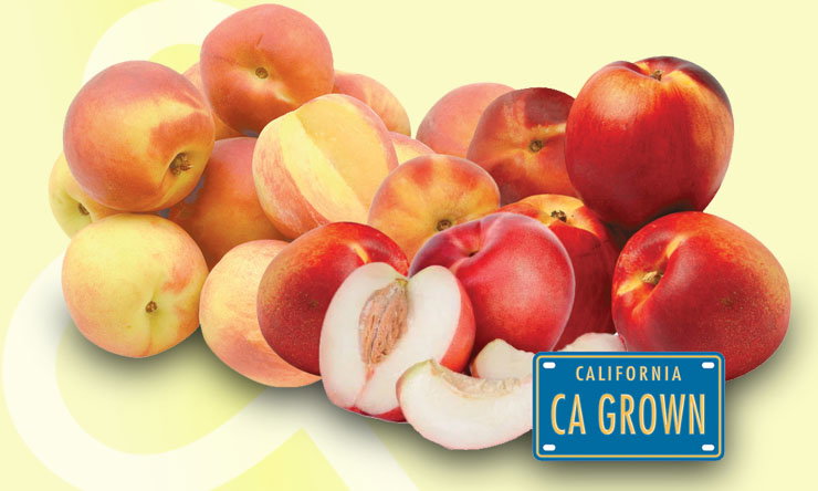 Fresh peaches and nectarines, sold by the pound. See ad for current price and offer details.