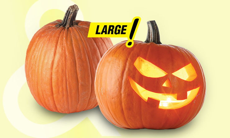 Fresh pumpkins displayed as a seasonal produce item, featuring round, orange pumpkins with natural ridges and sturdy green stems. The pumpkins highlight the fall season and are ideal for seasonal decorating, carving, cooking, baking, and festive gatherings.