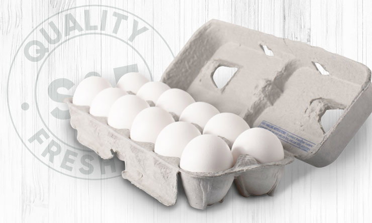 eggs