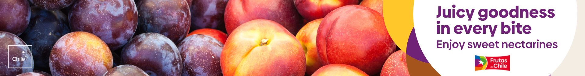 Chilean-Fresh-Fruit 
