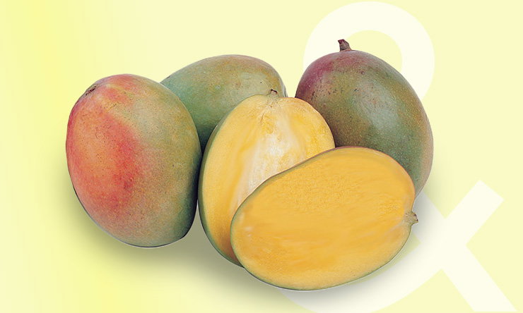 Ripe mangoes with smooth yellow-red skin, one cut open to reveal juicy, bright orange flesh and a large flat pit”